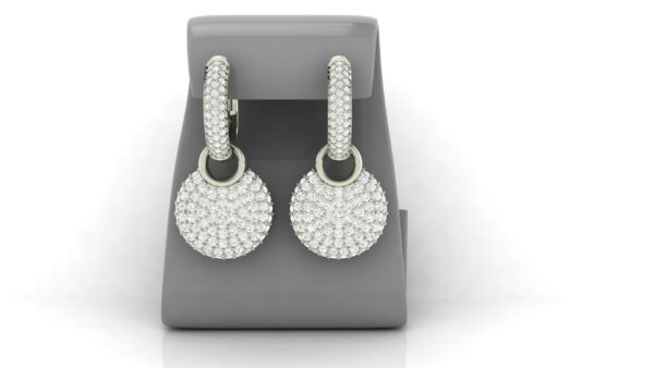 Earring 30122024-wg05